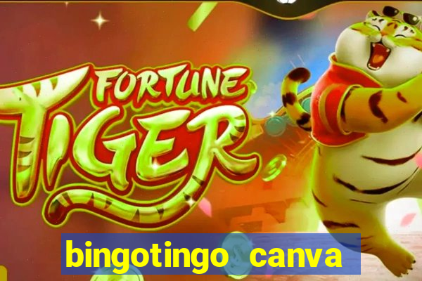 bingotingo canva pro gratis